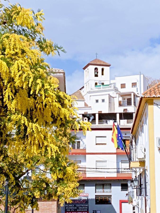 El Almendro De Maruja Διαμέρισμα Torviscón Εξωτερικό φωτογραφία