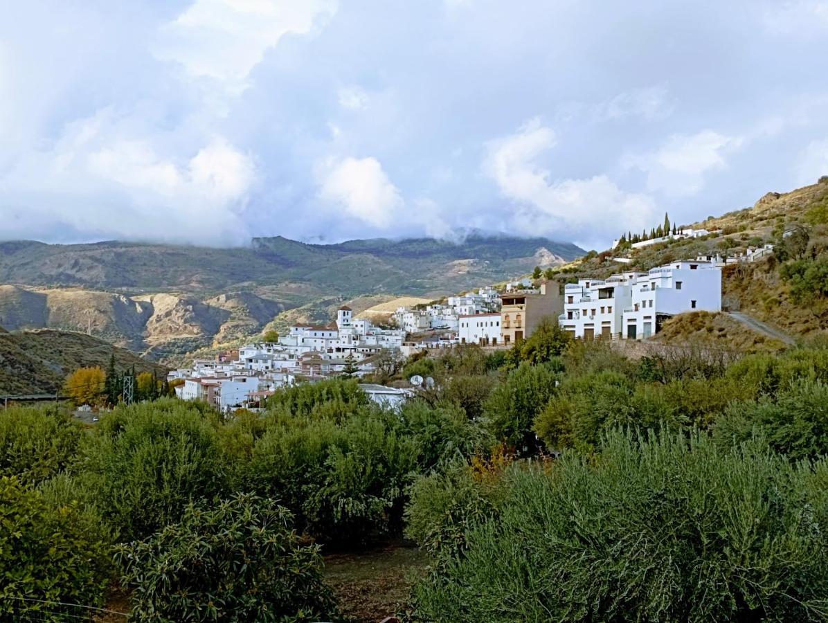 El Almendro De Maruja Διαμέρισμα Torviscón Εξωτερικό φωτογραφία